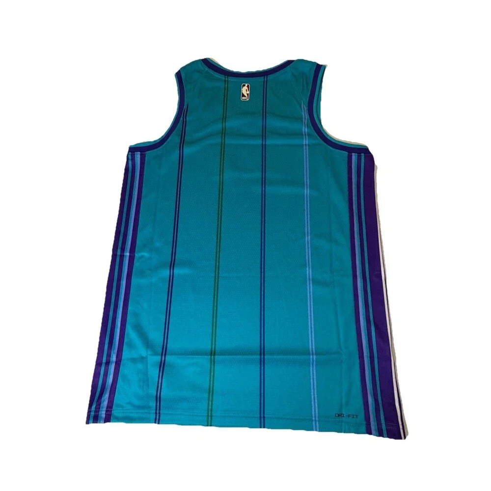 NWT Charlotte Hornets Jordan Classic Edition Swingman Jersey Men’s L 48